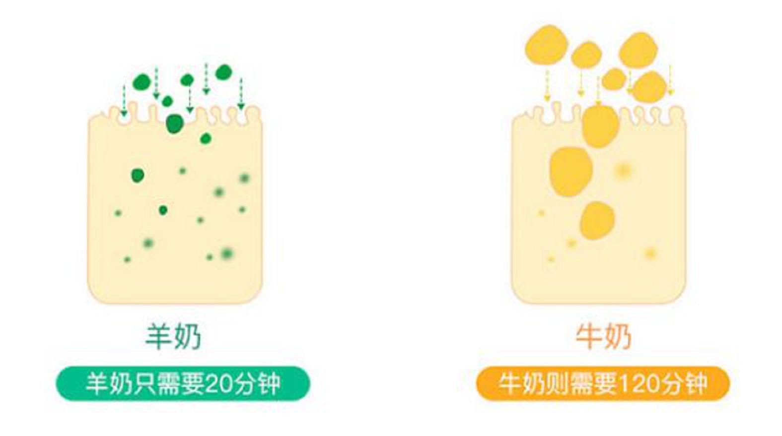 婴儿羊奶粉6-12个月口碑最好的,推荐婴儿混合喂养的羊奶粉