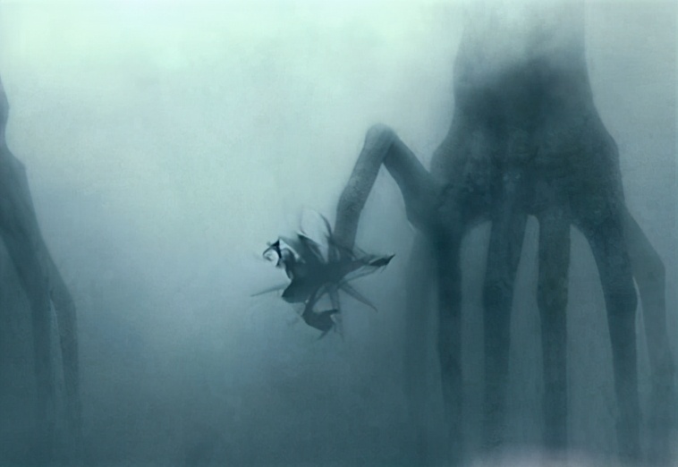 世界上最有可能是外星生物的章鱼 (章鱼为什么是最接近外星人的生物)