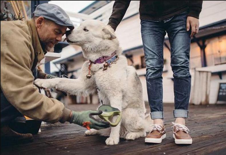 推荐几个性价比高的牛仔裤品牌,值得推荐的牛仔裤