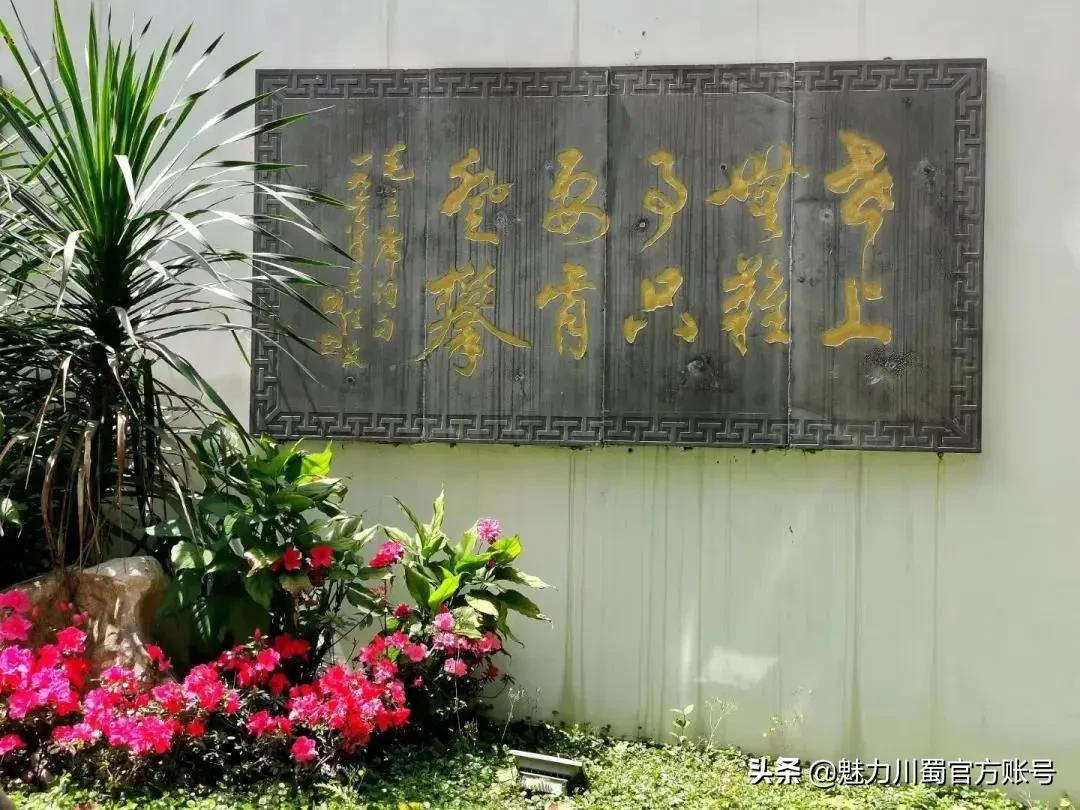 绵阳南山中学办学理念,家长评价绵阳南山中学真实水平