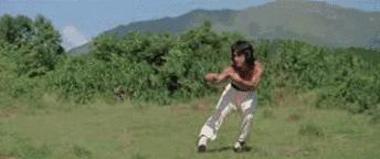 洪金宝为什么要跟林正英拍电影,洪金宝与甄子丹这部高分动作电影