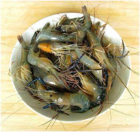 看图识海鲜，这些水产海鲜你都认识吗？