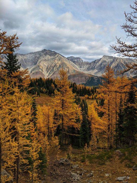 世界上100个最值得去的地方,2024年全球最值得一去的25个地方