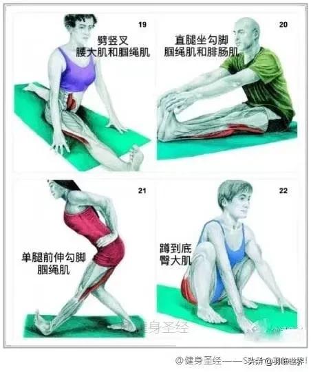 打完球拉伸的原理,打完球为什么要拉伸