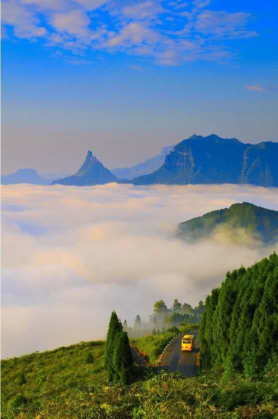 重庆南川金佛山自驾游图片,重庆金佛山自驾游最佳路线