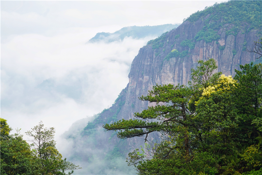 跟着古诗去旅行西湖,唐诗浙江旅游攻略
