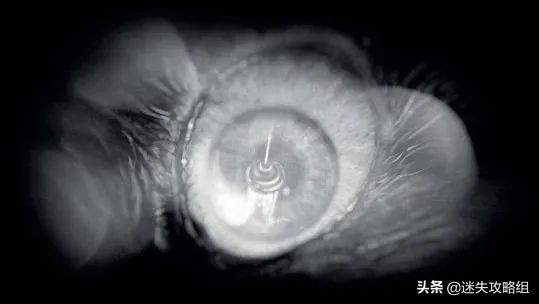 阴暗森林游戏的背景,阴暗森林游戏解析