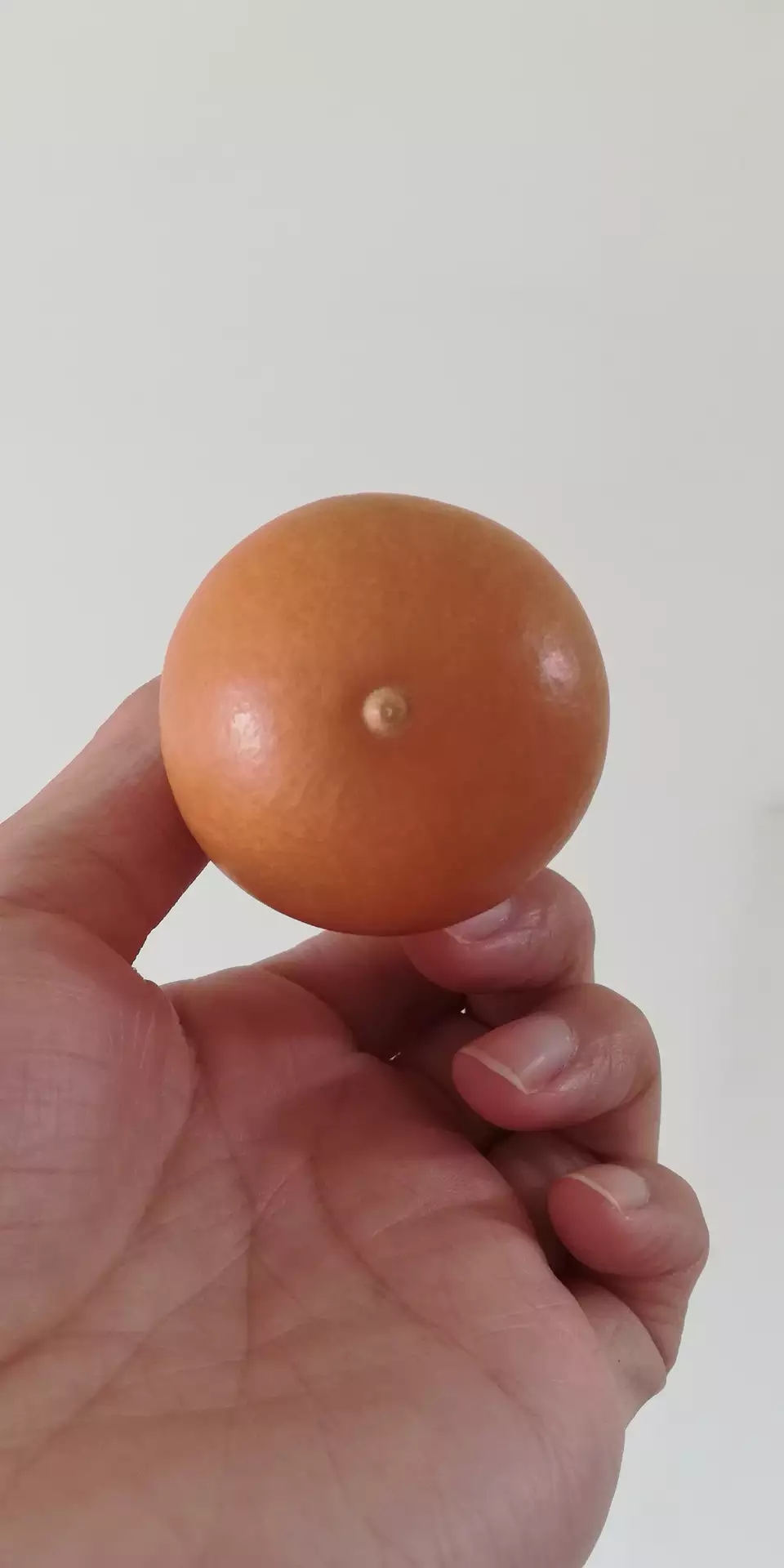 文玩葫芦怎么去黑,文玩葫芦怎样处理更结实