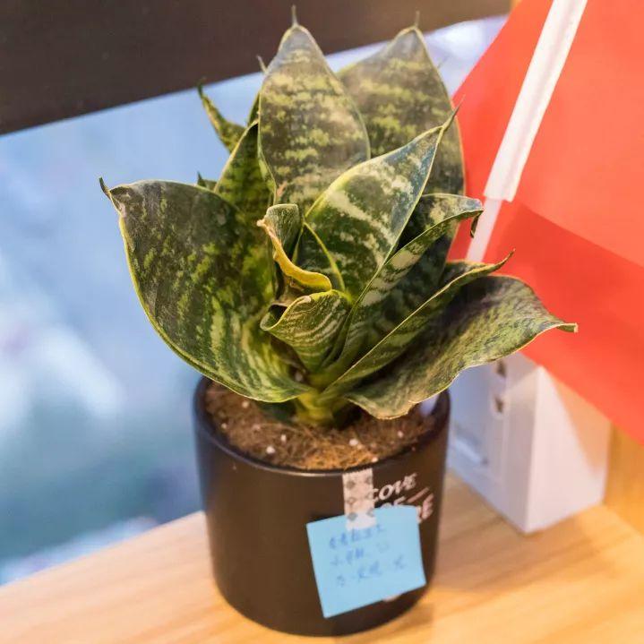 高空自习室深圳,深圳高空自习室