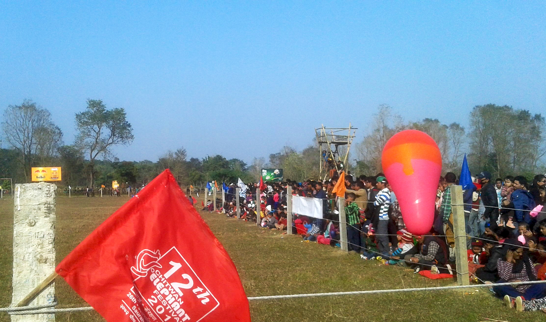 大象足球大赛,大象足球赛