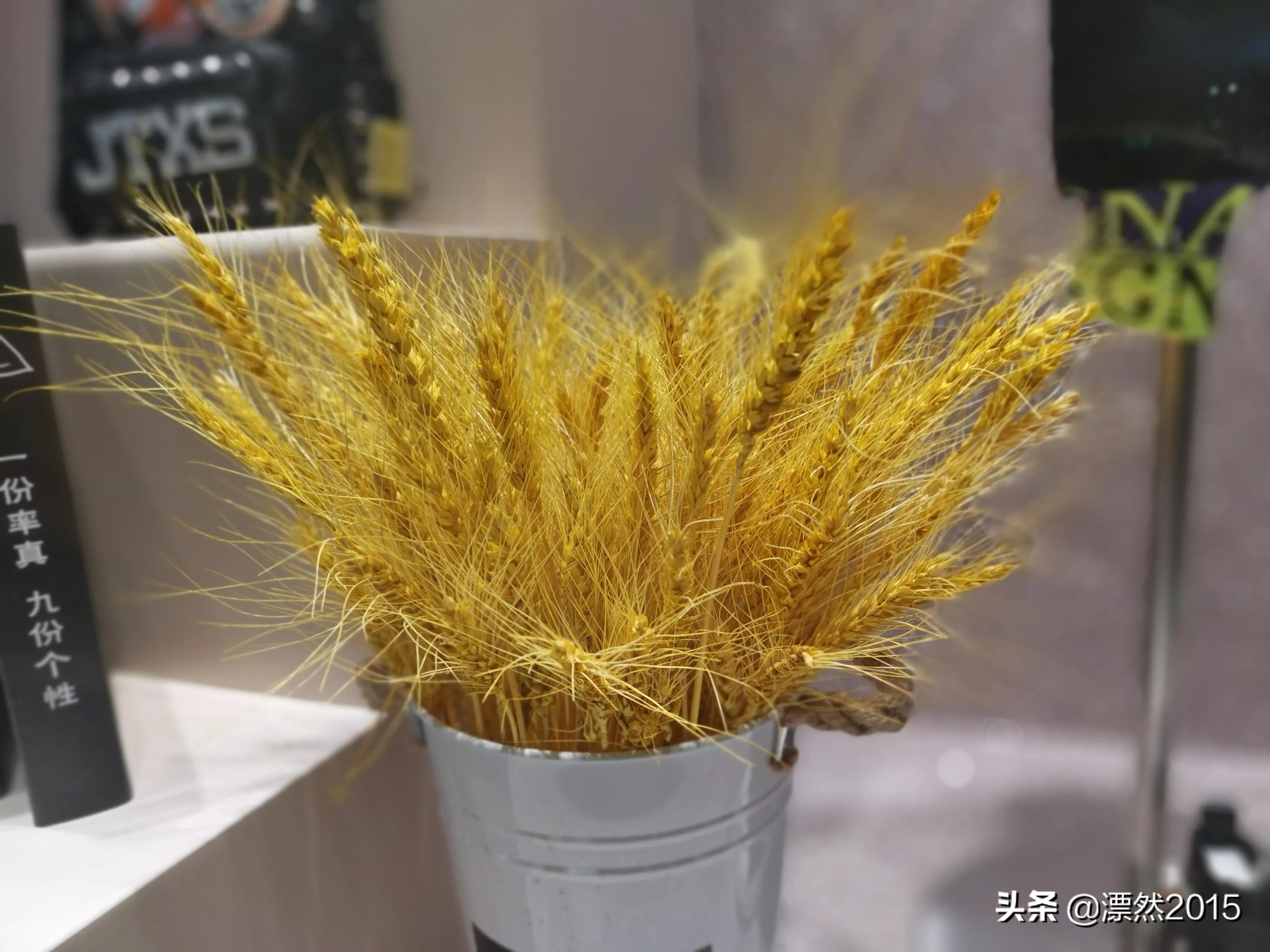 生日回想前面的日子,生日的独白