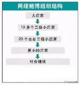 涉案40多亿网络赌博刘某被抓,涉嫌11亿网络特大赌博案判刑情况