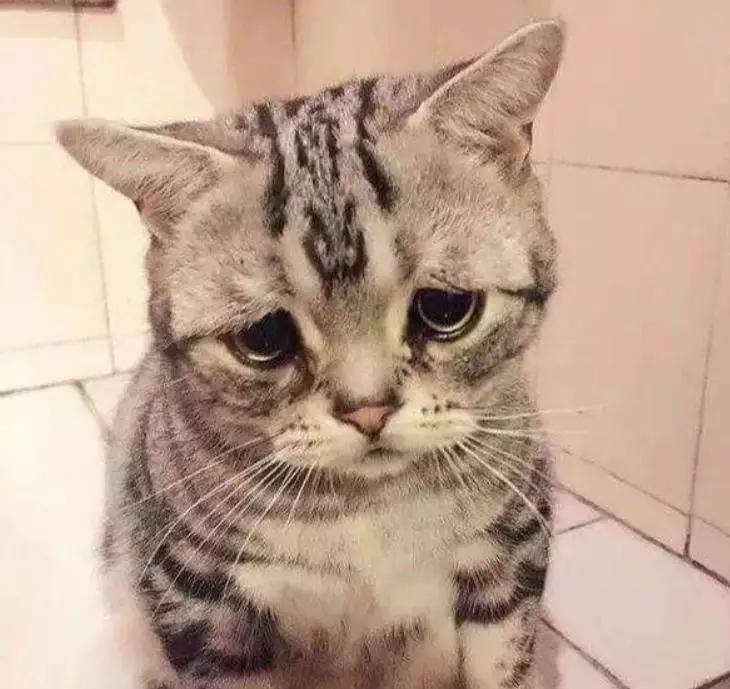 为什么有女朋友之后打游戏很菜,为什么有女朋友之后打游戏特别菜