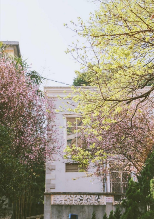 描写春天的好句子摘抄10个字,写春天的优美语段好句子摘抄