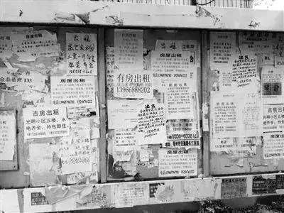 江门租房只租一个月,江门市怎么租房