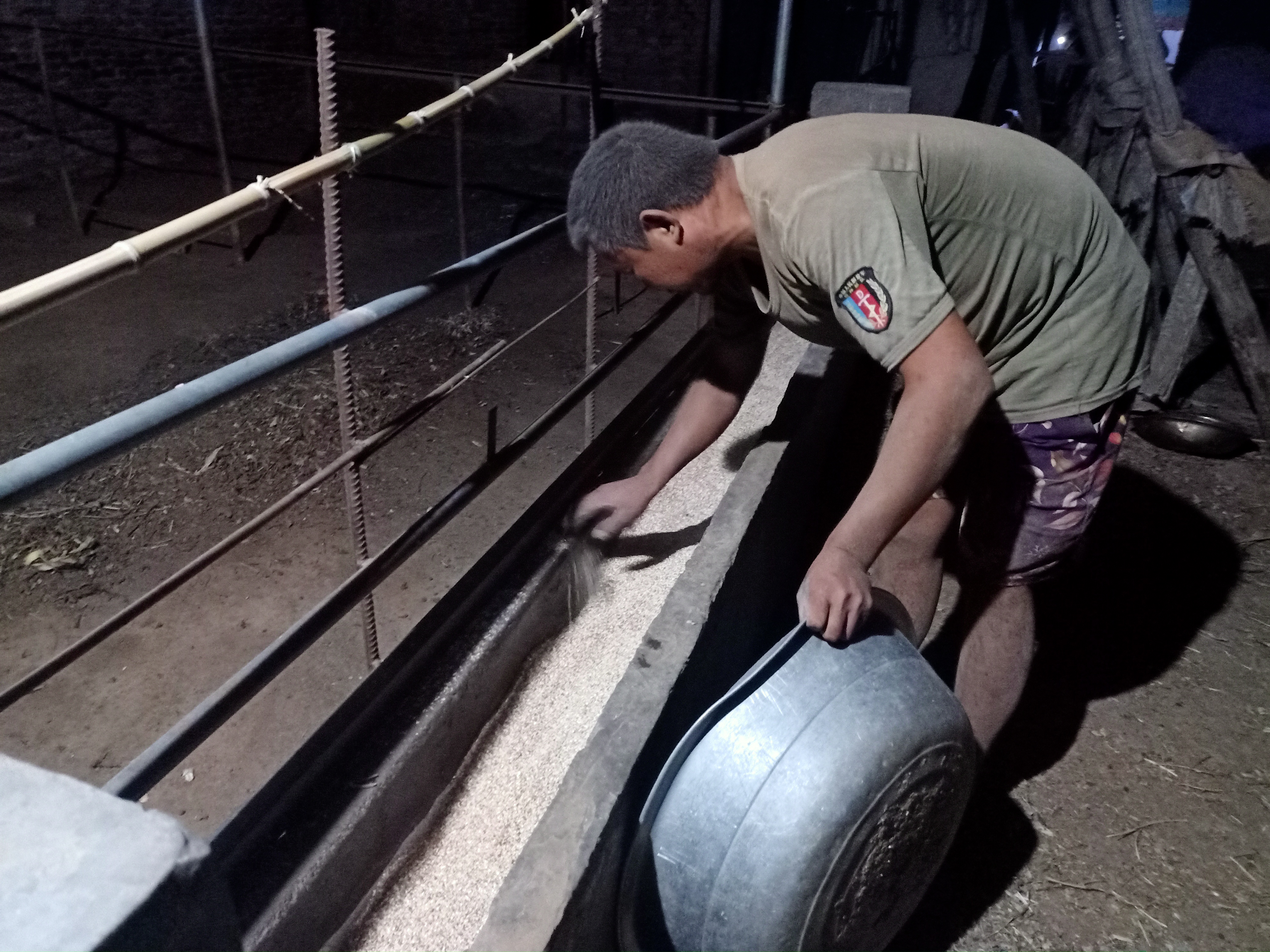 养羊必打哪些预防针,春天养鸡防寒防病喂什么药