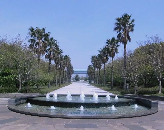 2020东京奥运会具体时间地点,2020年东京奥运会看点大盘点