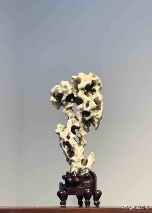 陈从周的园林作品有哪些,陈从周中国园林风格