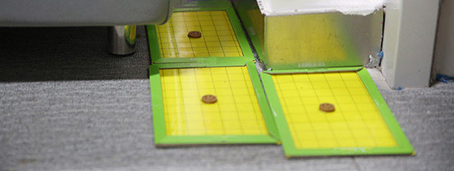 小老鼠怎么灭鼠,怎样能灭老鼠