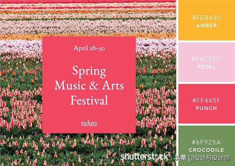 设计色彩总结200字左右,设计配色6种颜色