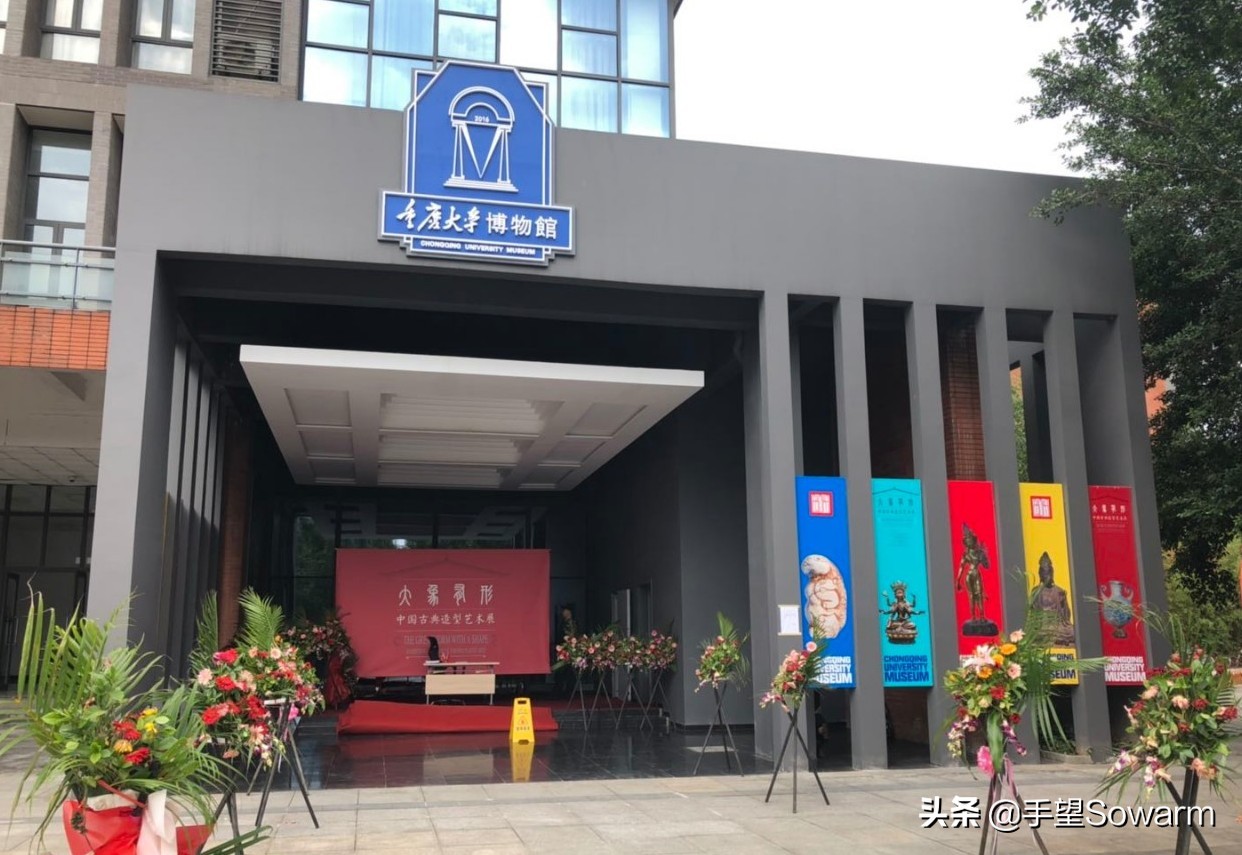 重庆大学博物馆赝品后续怎样,重庆大学赝品博物馆事件追踪