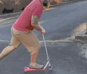 搞笑gif趣图这只狗狗是不是开挂了,搞笑gif趣图乌龟泼猴你别推我