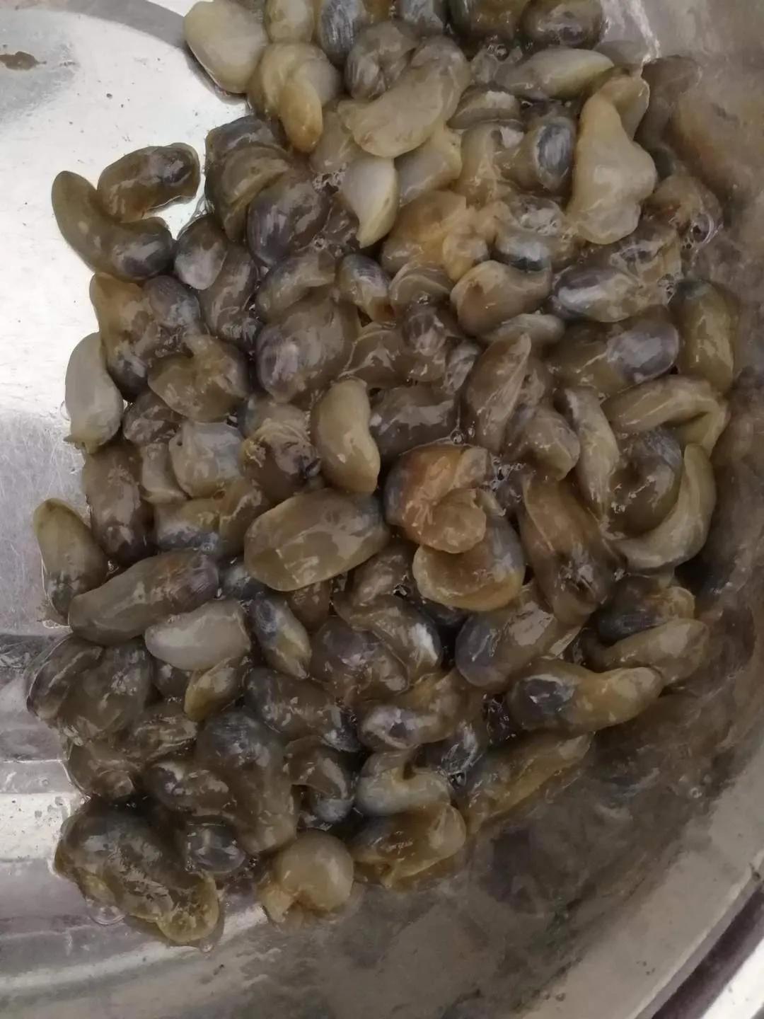 宁波老式菜,宁波泥螺批发