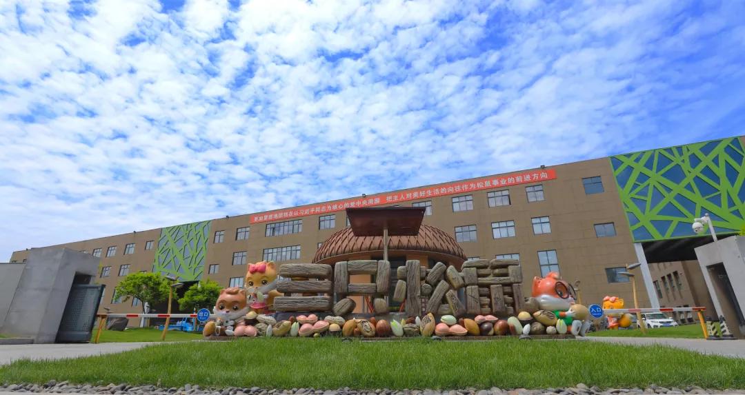 “黑马”养成记——探寻芜湖高新区(弋江区)高质量发展做法