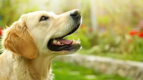 在美国千万不能做的事是什么,在美国千万不要做这几件事