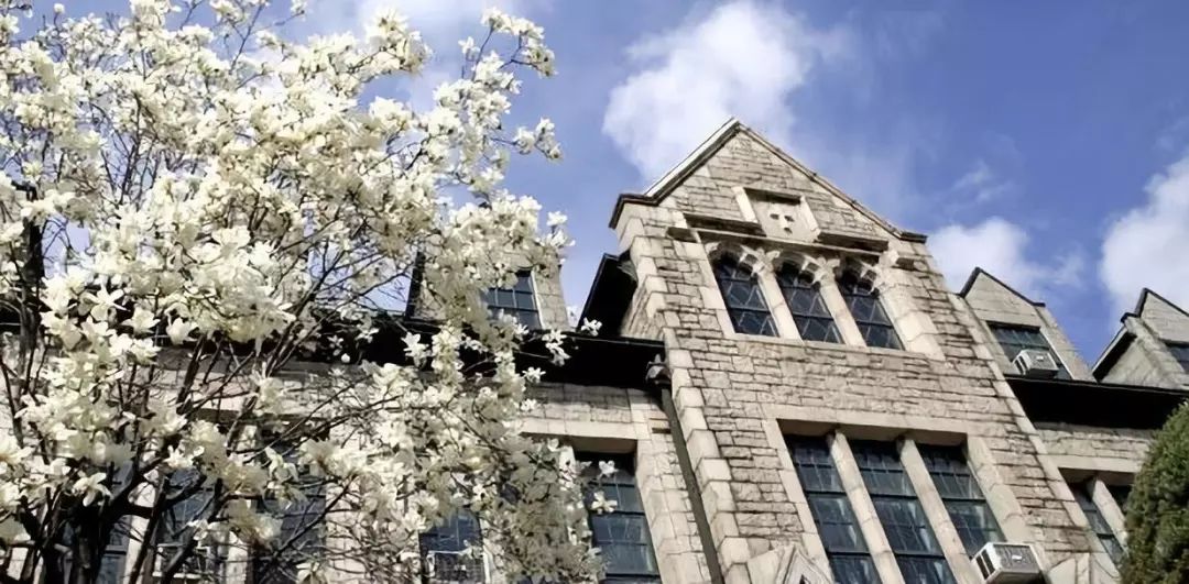 带你认识迷惘而不迷失的“浪漫韩国”