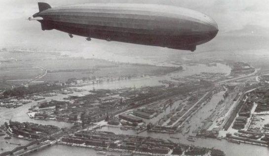 英短猫长大后是什么样的,英短猫的成长大小跟什么有关