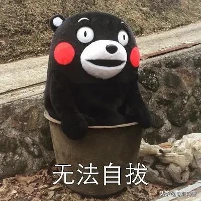 点开女朋友的个人空间，里面的照片让他五雷轰顶……