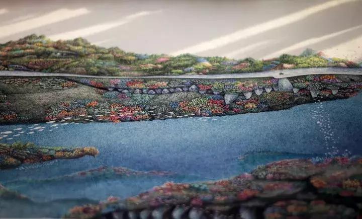 小央美钢笔画视频,极品五大钢笔画简直美爆