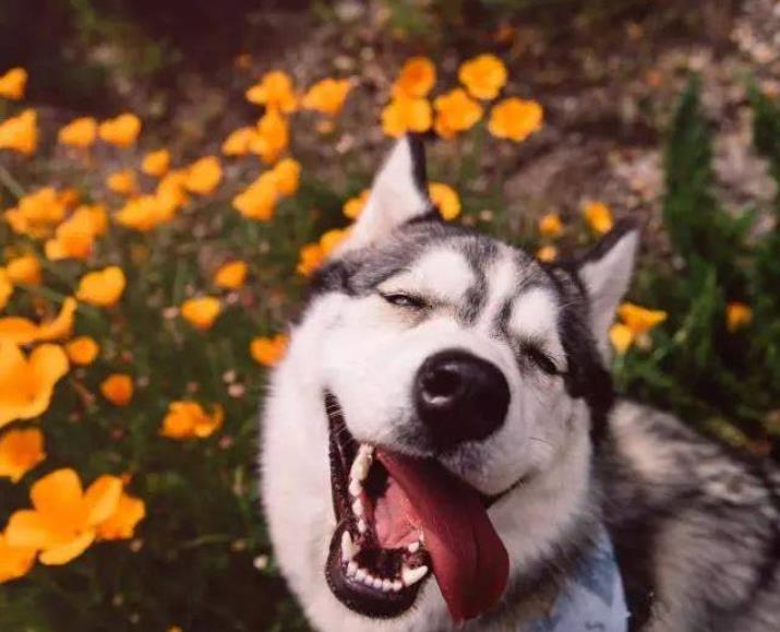 淘宝双十一成交量,淘宝双十一店铺活动营销方案