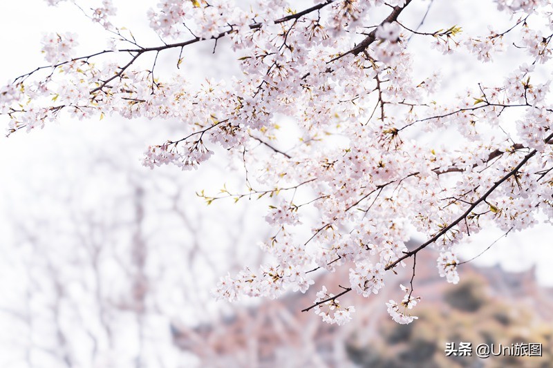 十大热门网红打卡点,2022年网红打卡地排行榜