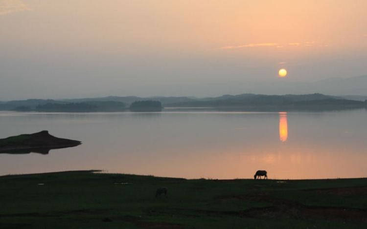 湖北松滋洈水风景区门票多少钱,松滋洈水旅游风景区游客量