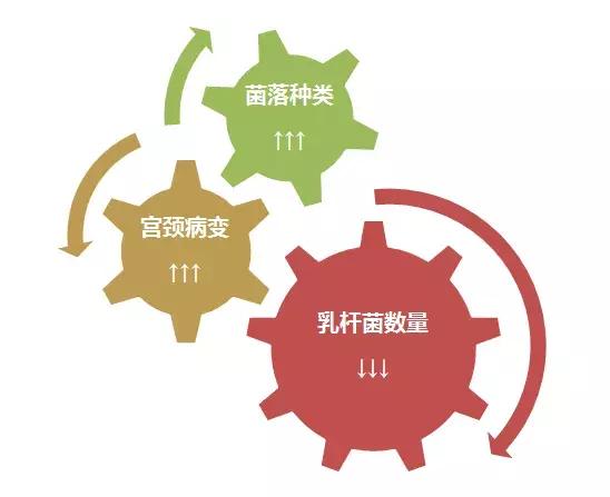 感染hpv的人都有艾滋么,感染hpv的人