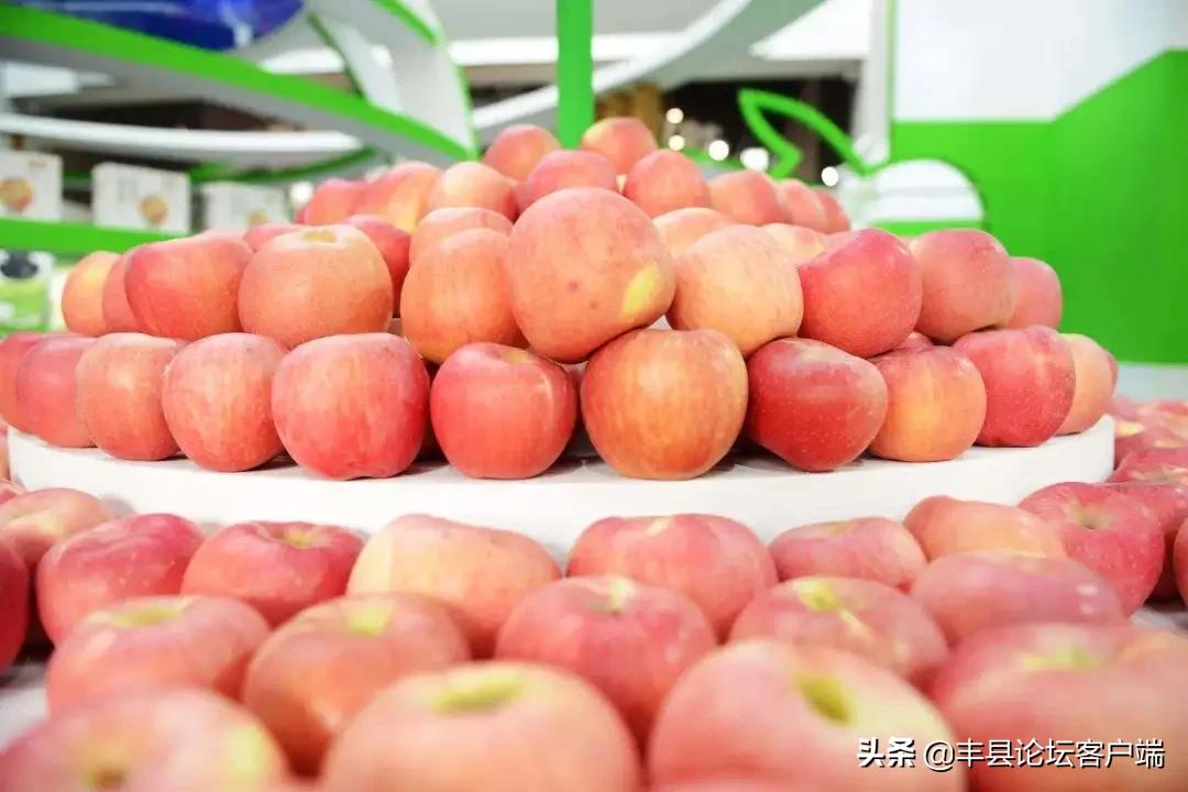 2021丰县苹果节在哪里举办,丰县苹果节最新消息