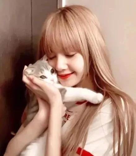 推荐韩国好看发色,染发韩国选色