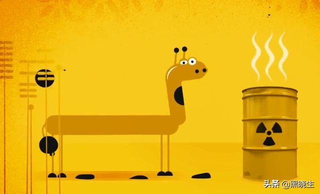 会捡垃圾的动物,动物捡垃圾的真实感受