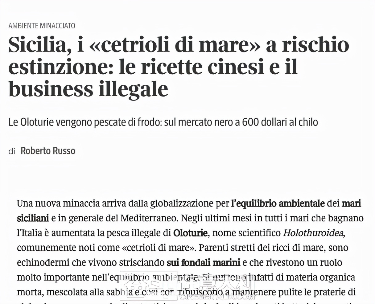 外网评论中国人为啥不吃印度美食,外媒评中国人不爱吃西餐