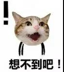 怎么吐槽程序员的水平差,一个程序员能强到什么程度