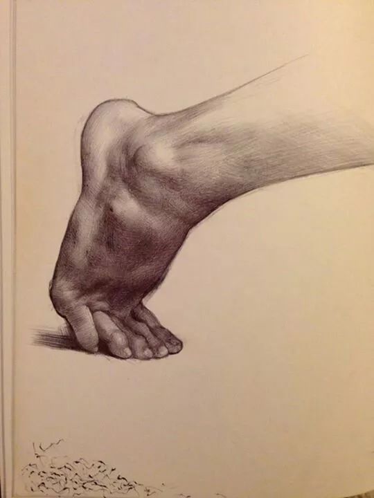 值得收藏的素描,今日分享基础素描干货