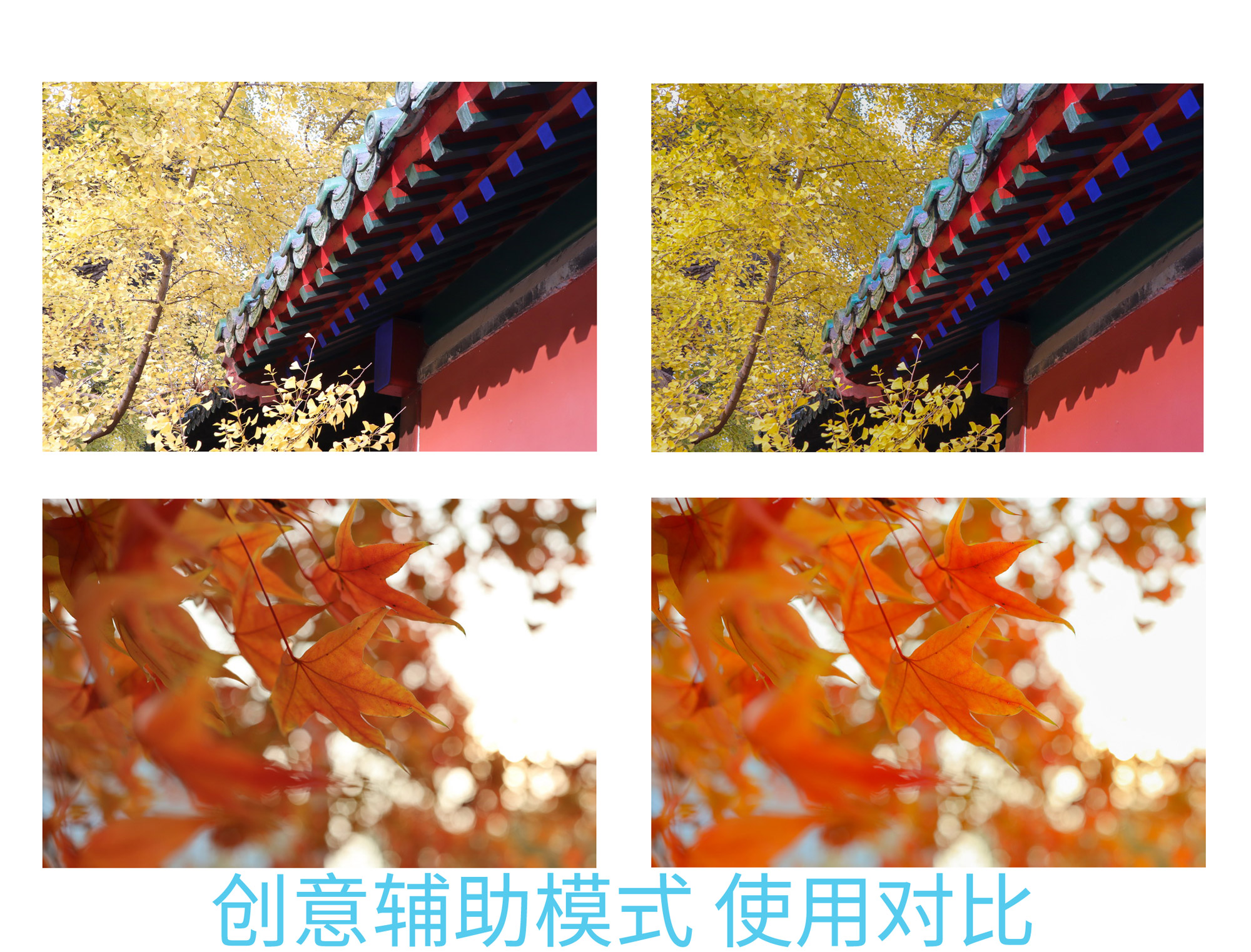 佳能eosm2值得买吗,佳能发布eosm200入门级无反相机