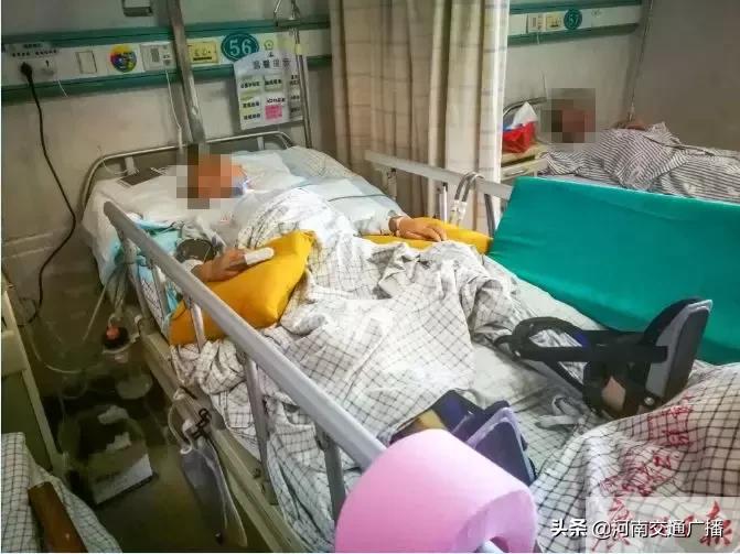 女子被天降大狗砸瘫痪获赔超百万,女子被大狗砸瘫获赔