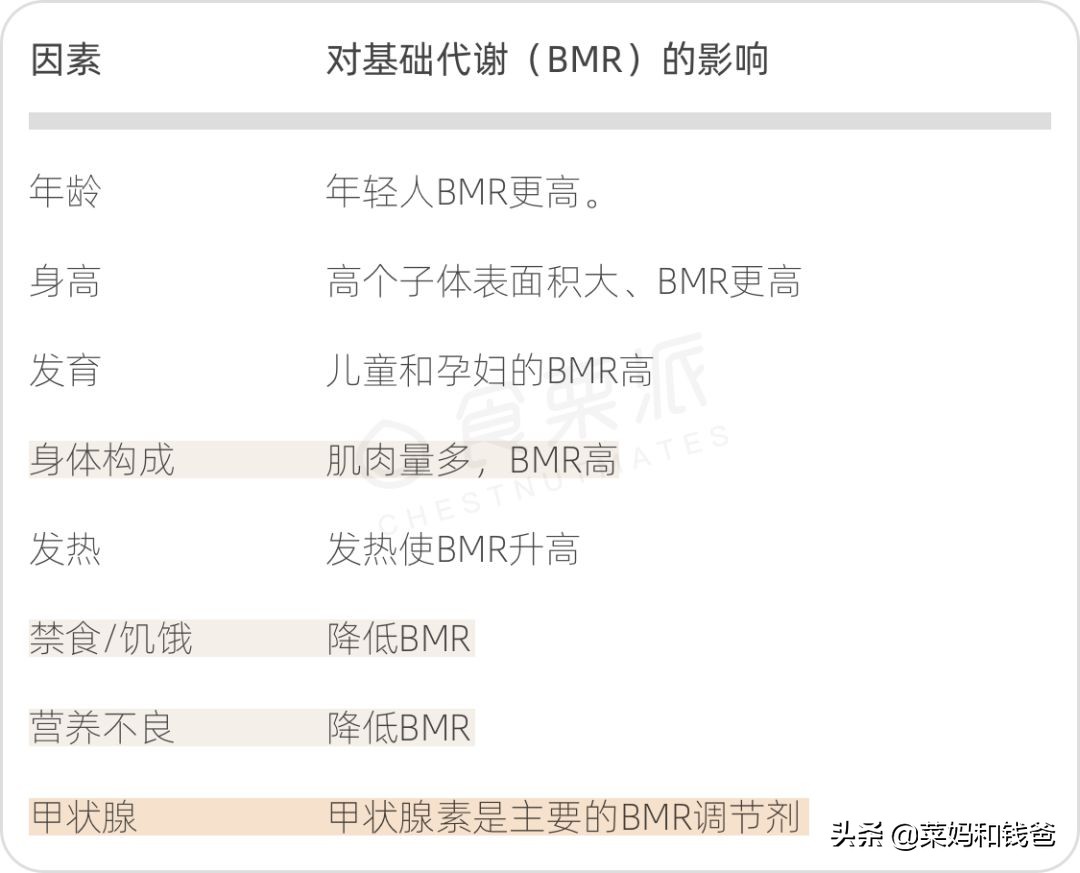 吃什么可以让代谢变快,吃什么可以使代谢变快