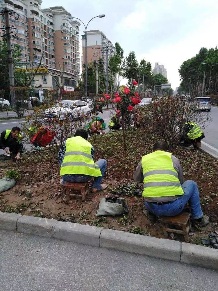 战高温斗酷暑坚守一线工地,战高温斗酷暑坚守一线照片