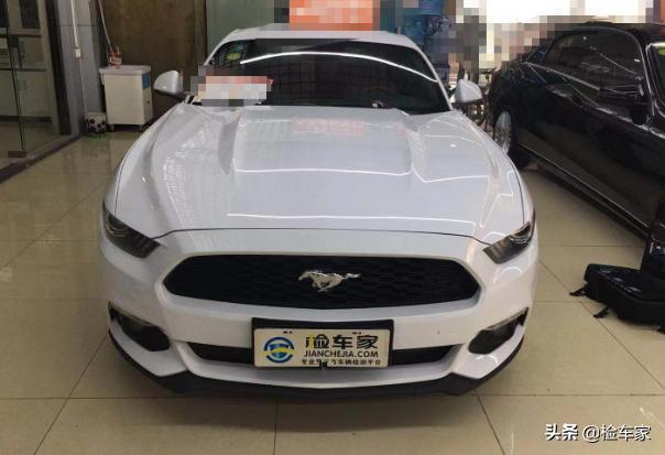 福特野马试驾平民级,25万左右买哪年的福特野马