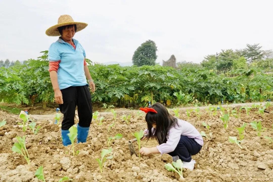 广州白水寨度假区酒店推荐,这家酒店