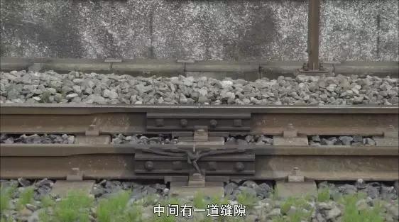 像乌鸦一样思考20集完整版中文,像乌鸦一样思考纪录片全集国语版